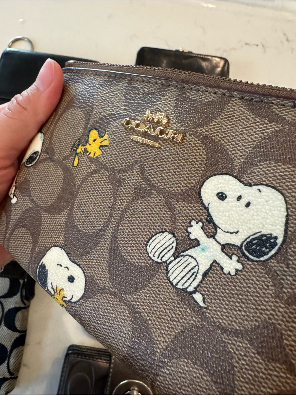DAMAGED/IMPERFECT Coach Lot - Picture 3 of 16
